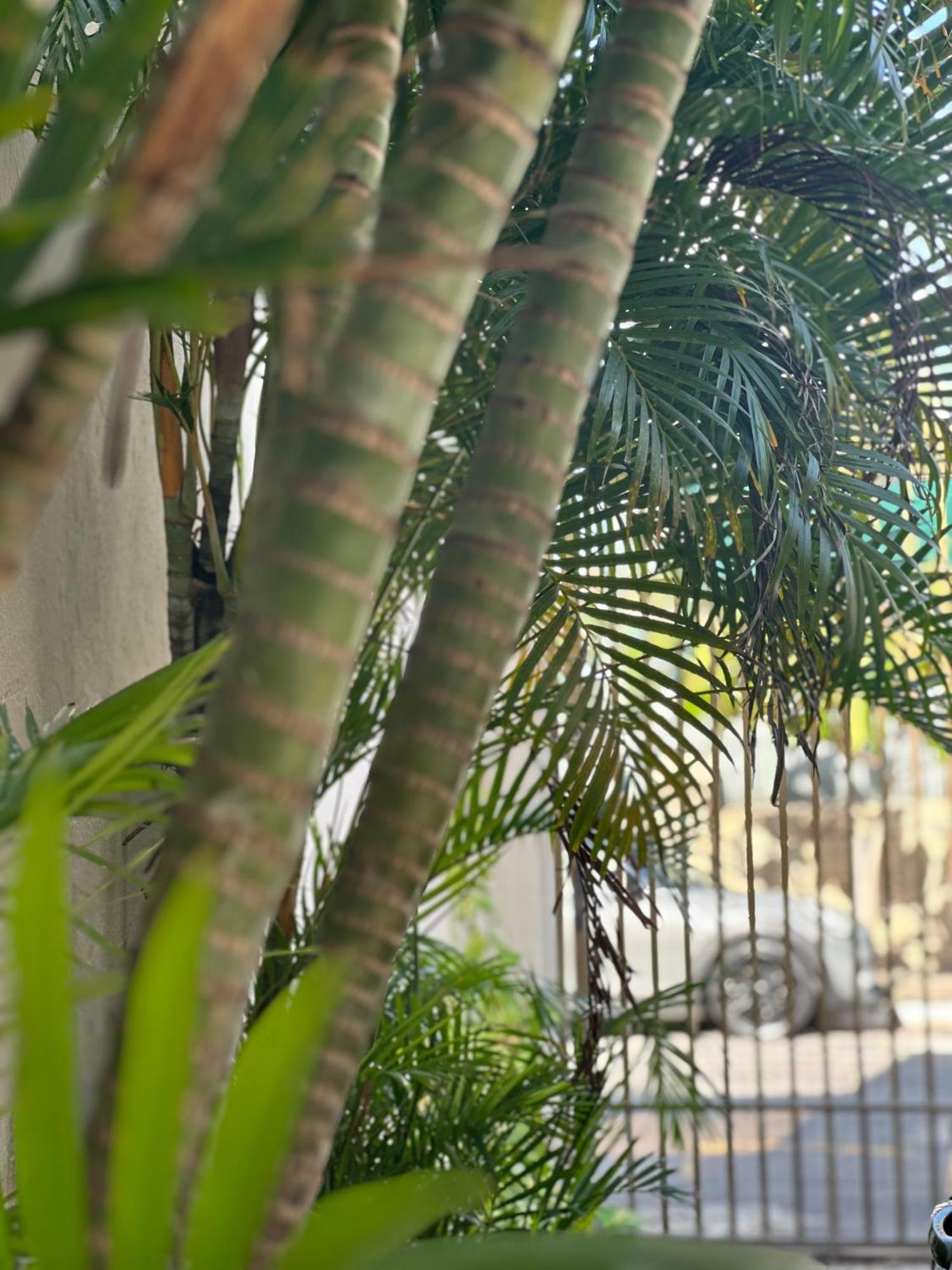 Hotel Pousada Villa Marina Форталеза Экстерьер фото